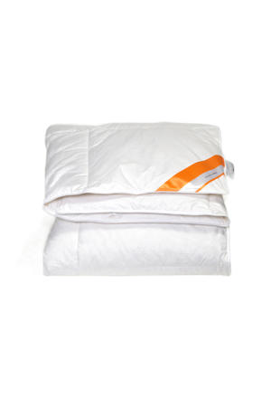 dekbed 10% eendendons