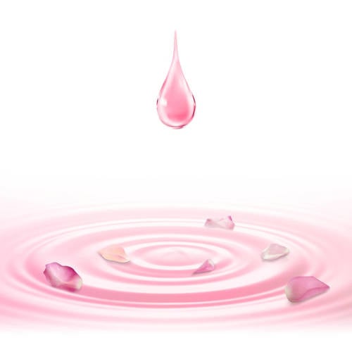 Dove Rose Oil doucheschuim 6 x 200 ml Douchegel | Douchegel van