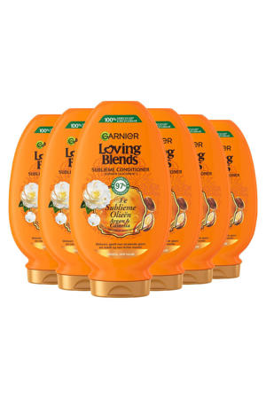 Argan- & Cameliaolie conditioner - 6 x 250 ml - voordeelverpakking