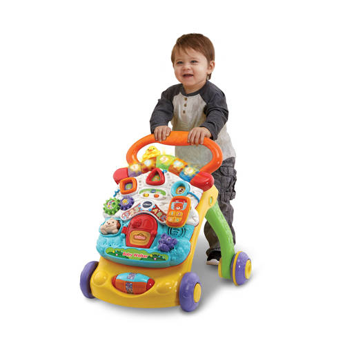 Vtech Baby Walker Loopwagen Multi | Loopwagen van