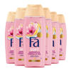 Fa Cream & Oil Magnolia douchegel - 6 x 250 ml - voordeelverpakking