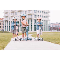 thumbnail: Scoot & Ride step Highwaykick 1 - Rose