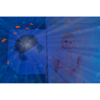 thumbnail: Zazu Cody Ocean Projector