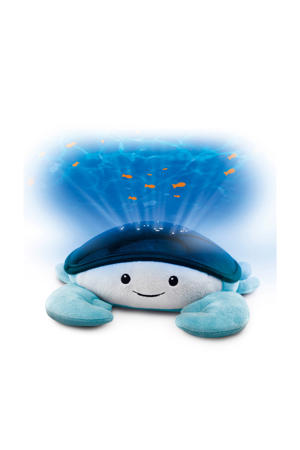 Cody Ocean Projector