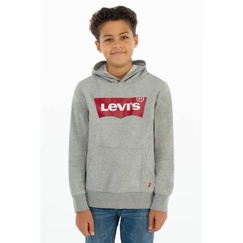 Levi's Kids hoodie Batwing met logo grijs melange Sweater Logo - maat 152 afbeelding