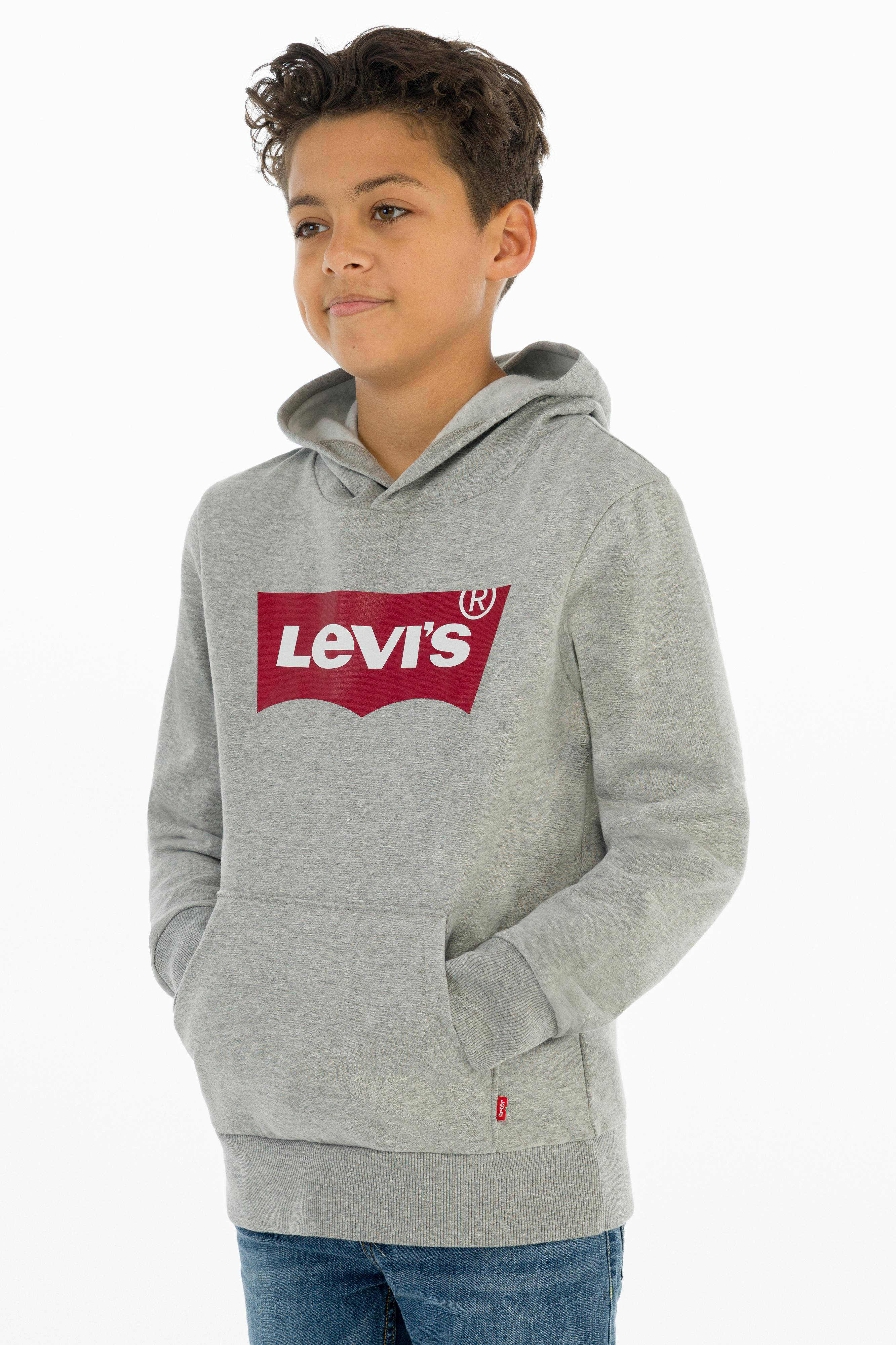 Levi's 2025 hoodie kind