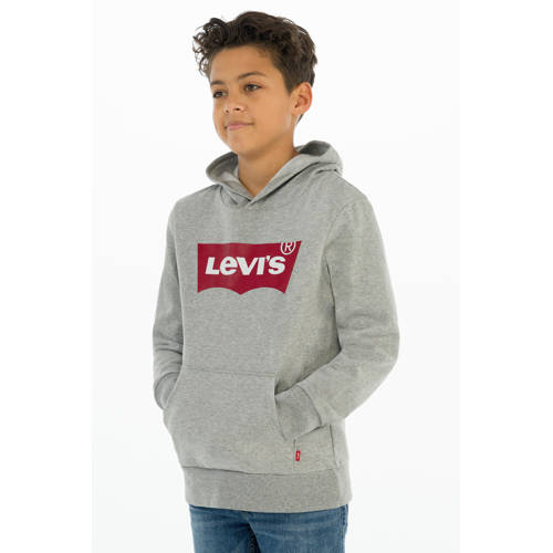 Levi's Kids hoodie Batwing met logo grijs melange Sweater Logo - 110