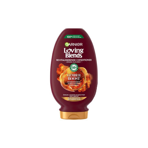 Garnier Loving Blends Gember Boost conditioner 6 x 250 ml voordeelverpakking