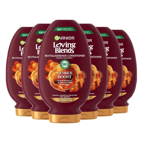 Garnier Loving Blends Gember Boost conditioner - 6 x 250 ml - voordeelverpakking