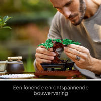 thumbnail: LEGO Botanical Collection Bonsaiboompje Bouwpakket voor Volwassenen 10281