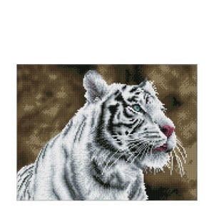  Tiger Blanc 31x41 cm