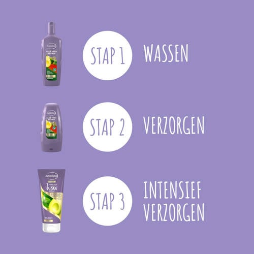 Andrélon Aloë Vera Repair conditioner 6 x 250 ml
