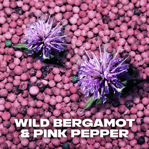 Axe Wild Bergamot & Pink Pepper deodorant bodyspray 6 x 150 ml