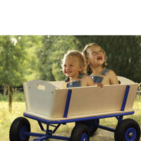 thumbnail: Sunny  Billy Beach Wagon