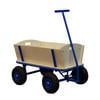 Sunny  Billy Beach Wagon