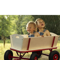 thumbnail: Sunny  Billy Beach Wagon
