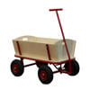 Sunny  Billy Beach Wagon