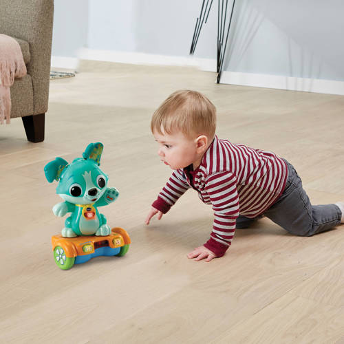 Vtech Baby Pak me dan Puppy Interactief speelgoed | Interactief speelgoed van