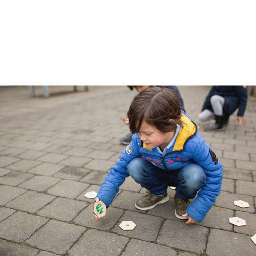 BS Toys Beestjes Actief Zoekspel Dobbelspel | Dobbelspel van