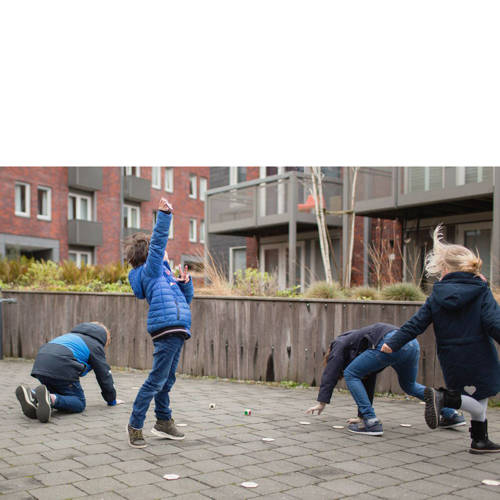BS Toys Beestjes Actief Zoekspel Dobbelspel | Dobbelspel van