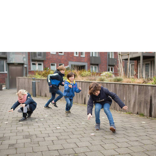 BS Toys Beestjes Actief Zoekspel Dobbelspel | Dobbelspel van