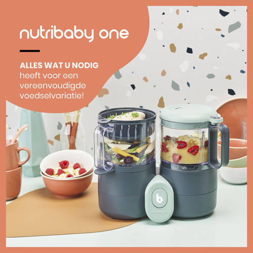 Babymoov Nutribaby One foodprocessor Blender stomer Grijs