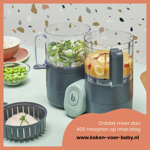 Babymoov Nutribaby One foodprocessor Blender stomer Grijs