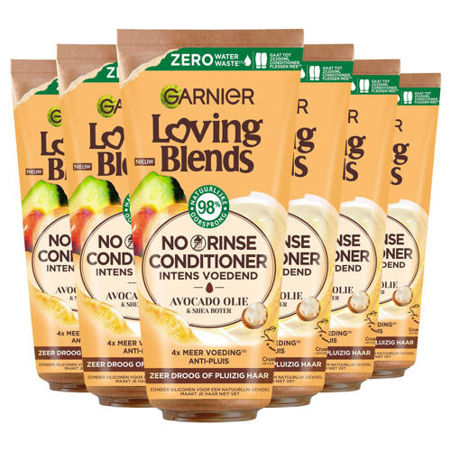 Garnier Loving Blends No Rinse Avocado conditioner - 6 stuks voordeelverpakking