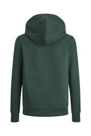 thumbnail: JACK & JONES JUNIOR hoodie JJECORP met logo donkergroen