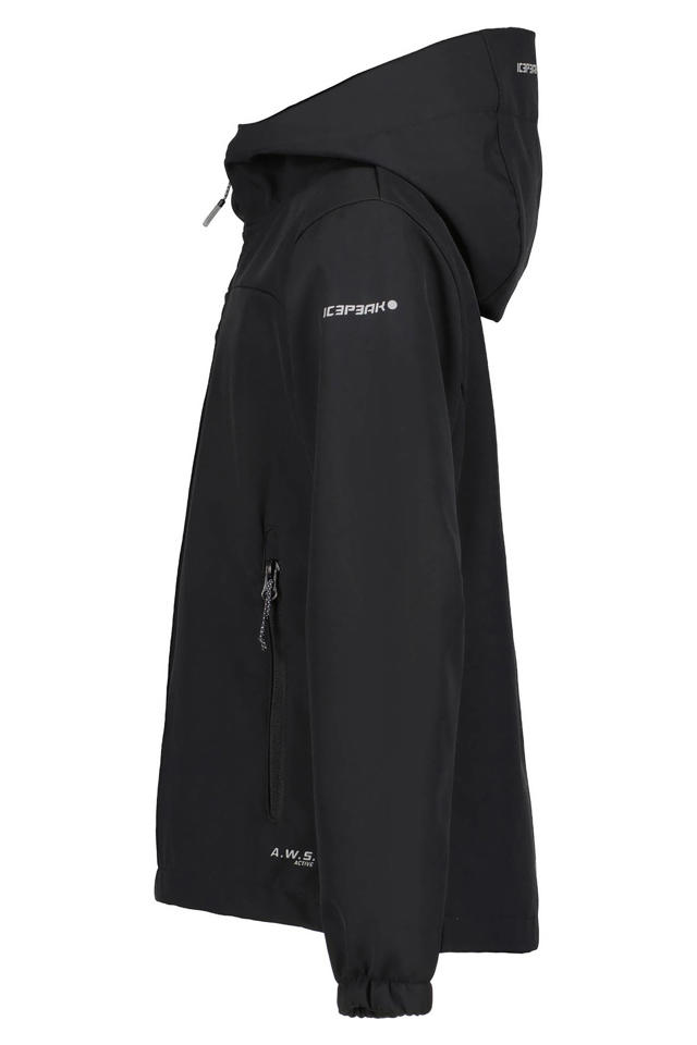 ICEPEAK