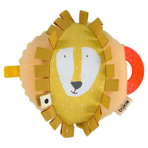  Mr Lion activiteiten bal