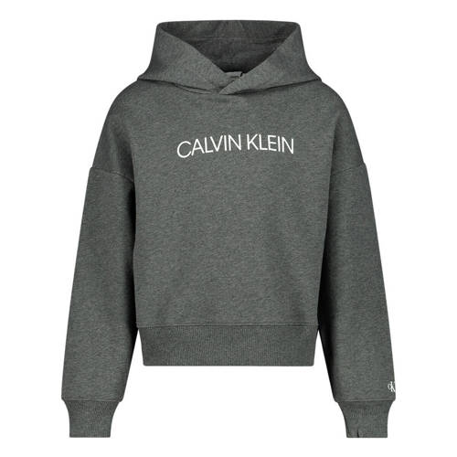 Calvin Klein hoodie met logo grijs Sweater Meisjes Katoen Capuchon Logo 