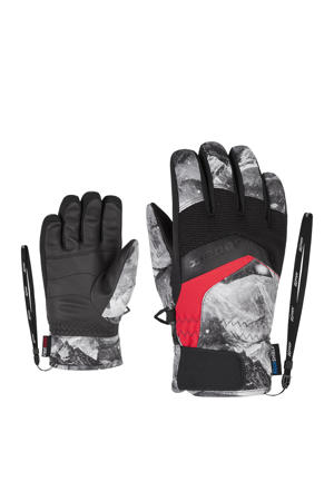 skihandschoenen Labino AS(R) grijs/zwart