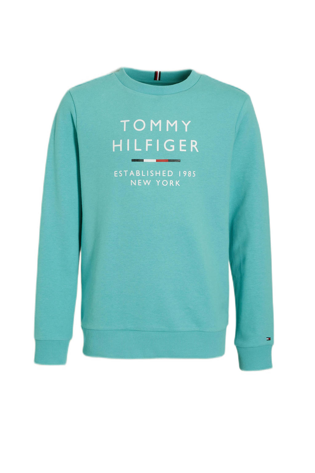 Tommy Hilfiger Kids Unisex Sweater In Turquoise