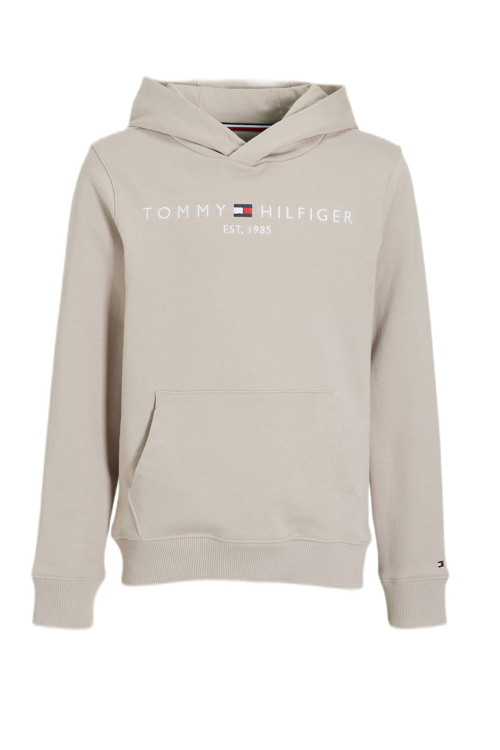 Tommy hilfiger hoodie online jongens