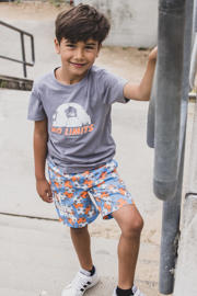 thumbnail: TYGO & vito short met all over print blauw/multi