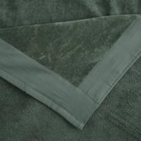 thumbnail: BEACHWAVE strandlaken Edge (groen) (200x100 cm)