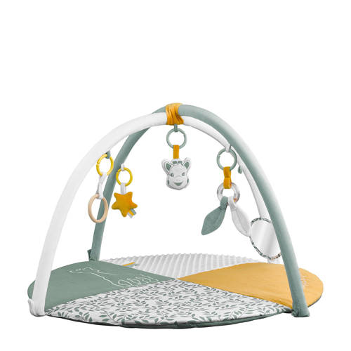 Sophie de Giraf Babygym | Babygym van