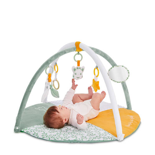 Sophie de Giraf Babygym | Babygym van