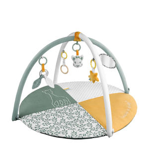 babygyms