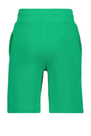 thumbnail: Raizzed regular fit short Brennon met logo groen