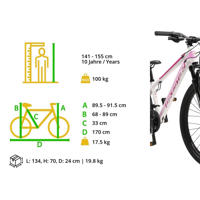 thumbnail: BikeStar hardtail MTB, Sport Hardtail MTB Alu Sport S 26 inch 21 speed wit/roze