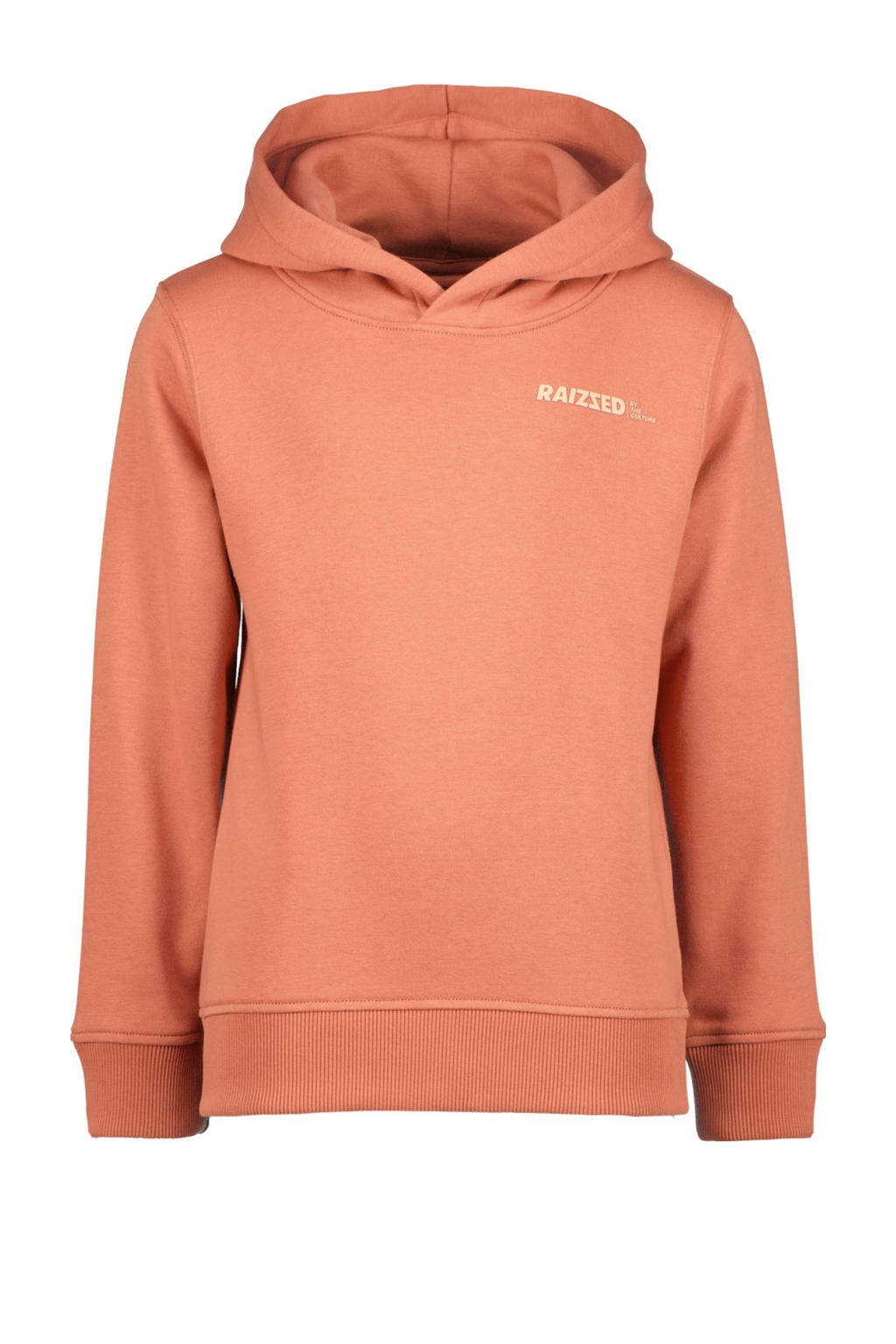 Oranje jongens Raizzed hoodie Newfield van sweat materiaal met lange mouwen en capuchon