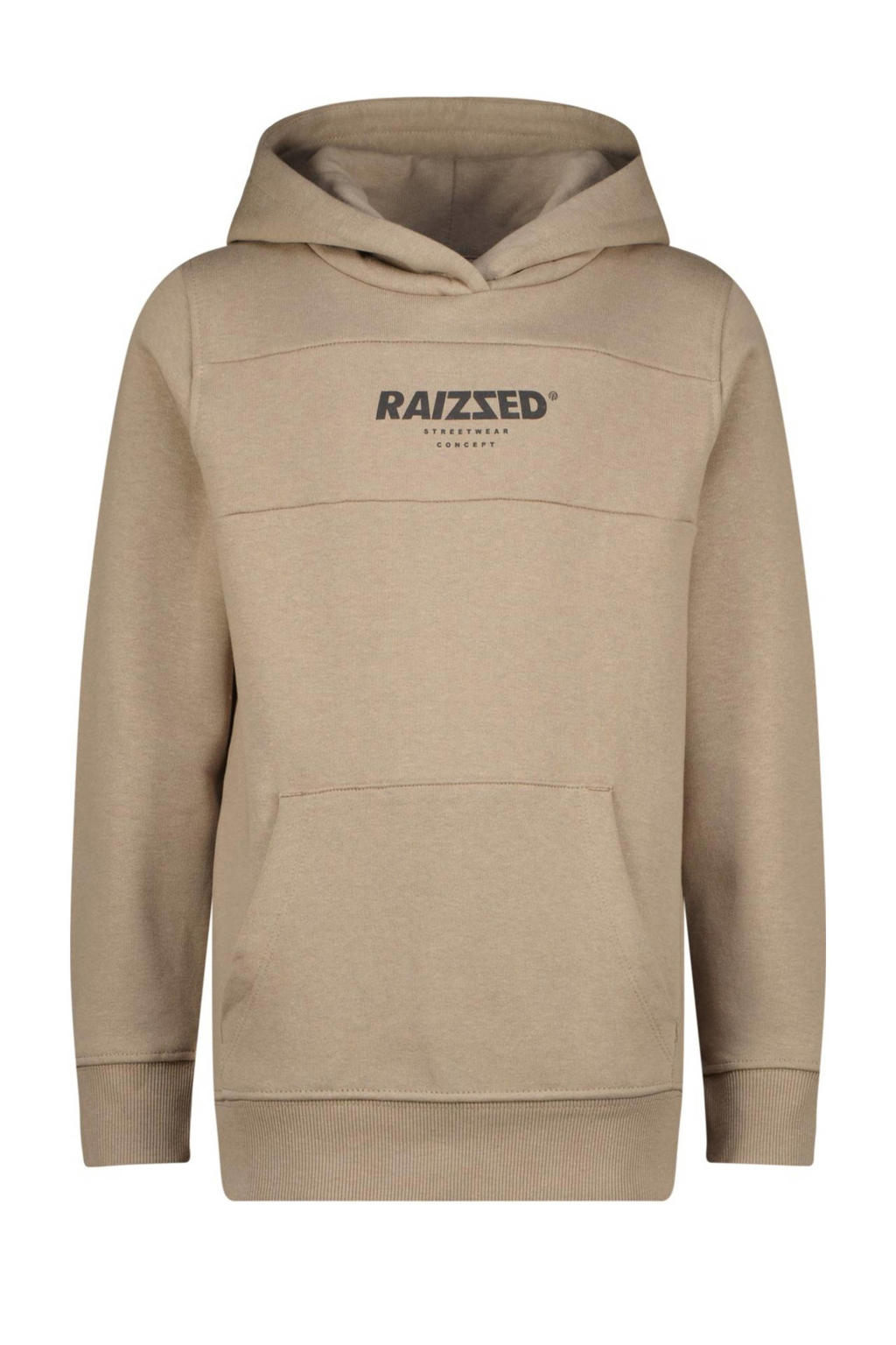 Grijze jongens Raizzed hoodie Pinesburg van sweat materiaal met logo dessin, lange mouwen en capuchon