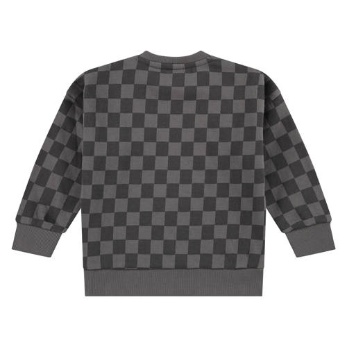Babyface geruite sweater donkergrijs Jongens Katoen (duurzaam) Ronde hals 104