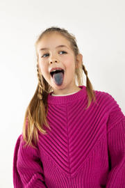 thumbnail: Blue Rebel trui Georgette fuchsia