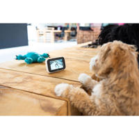 thumbnail: Alecto  DVM200M - Babyfoon met camera en 4.3" kleurenscherm