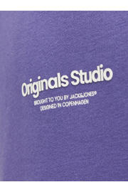thumbnail: JACK & JONES JUNIOR hoodie JORVESTERBRO met tekst paars