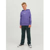 JACK & JONES JUNIOR hoodie JORVESTERBRO met tekst paars