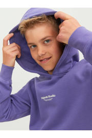 thumbnail: JACK & JONES JUNIOR hoodie JORVESTERBRO met tekst paars